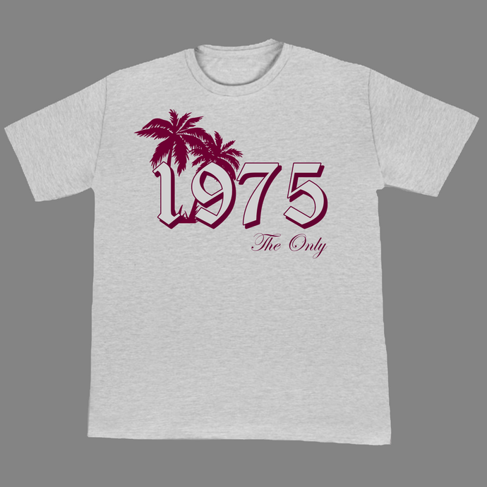 1975 The Only T-Shirt