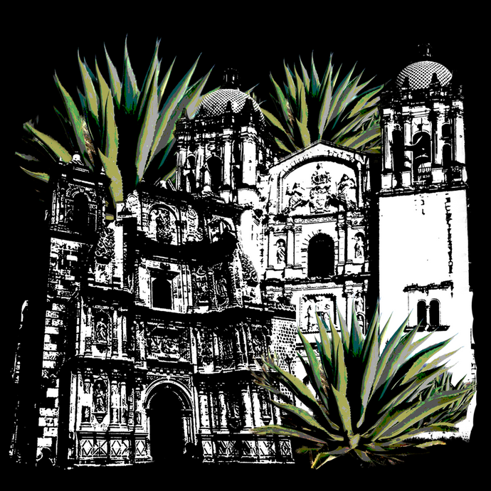 Oaxaca T-Shirt