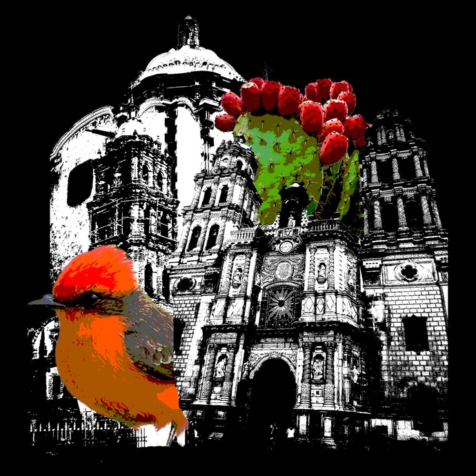 San Luis Potosí T-Shirt