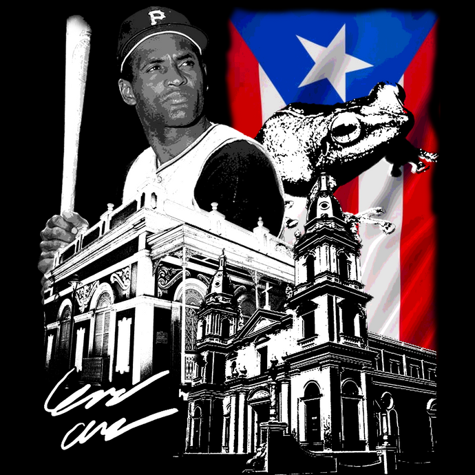 Puerto Rico T-Shirt
