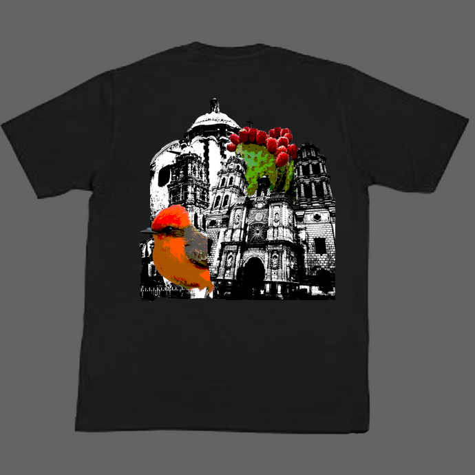 San Luis Potosí T-Shirt