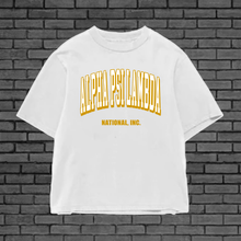 Load image into Gallery viewer, Alpha Psi Lambda Heavyweight Graphic T-Shirt
