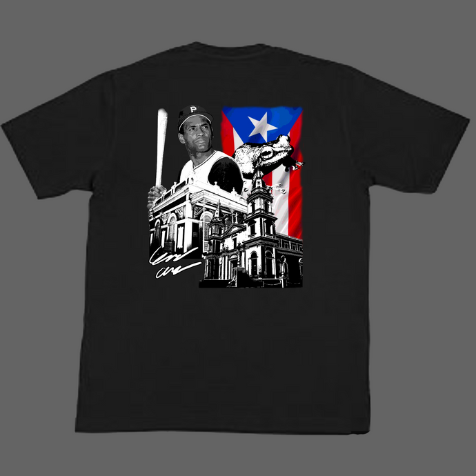 Puerto Rico T-Shirt